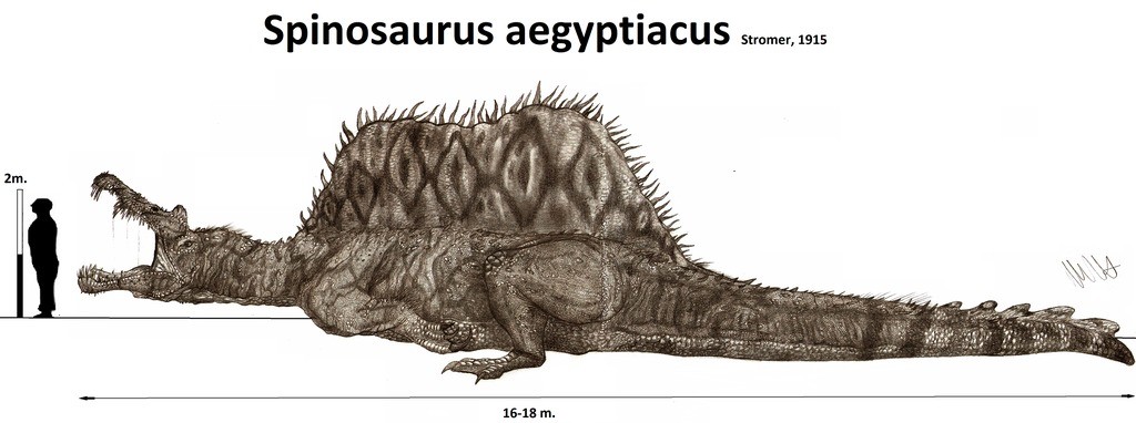 spinosaurus stromer