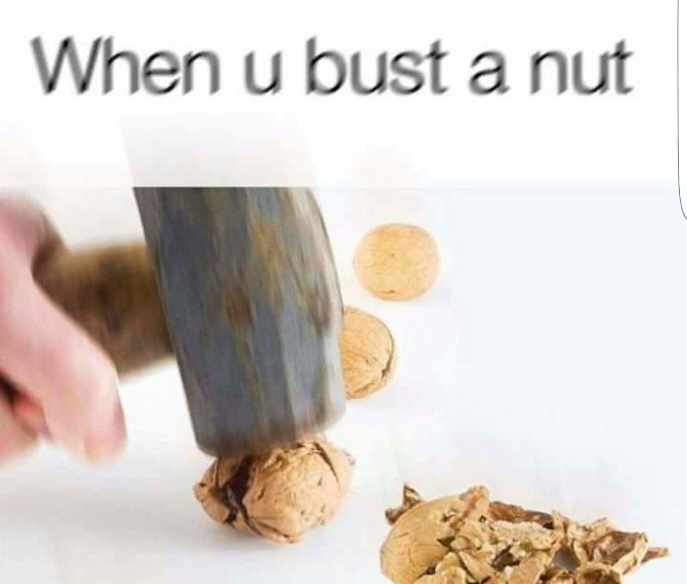 Nutted me