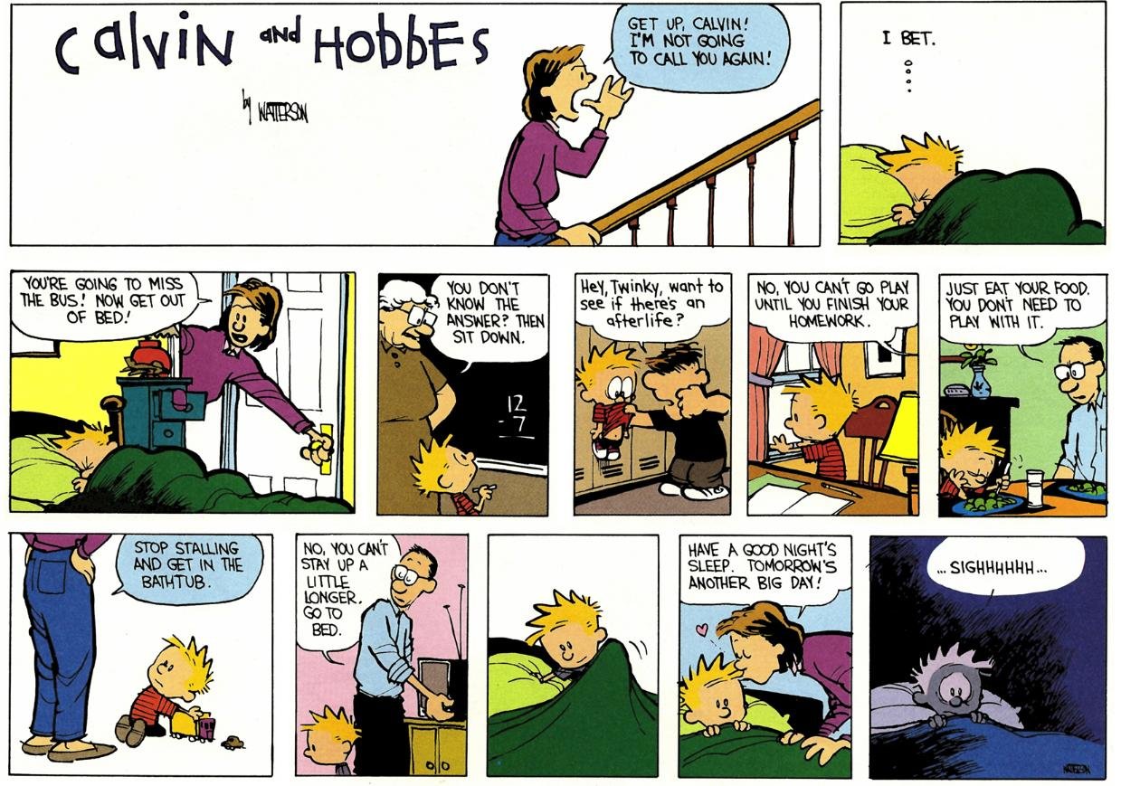 Final calvin and hobbes comic strip