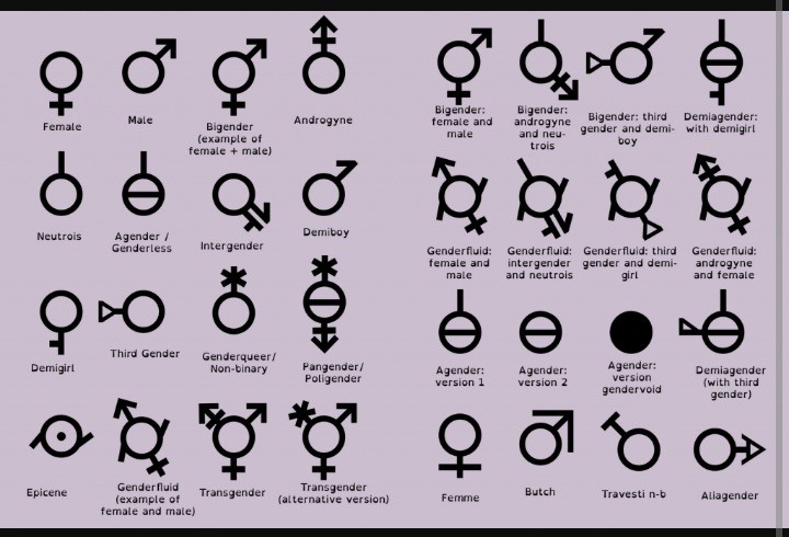 http://2static.fjcdn.com/pictures/4chan+genders_3c465d_5877233.jpg