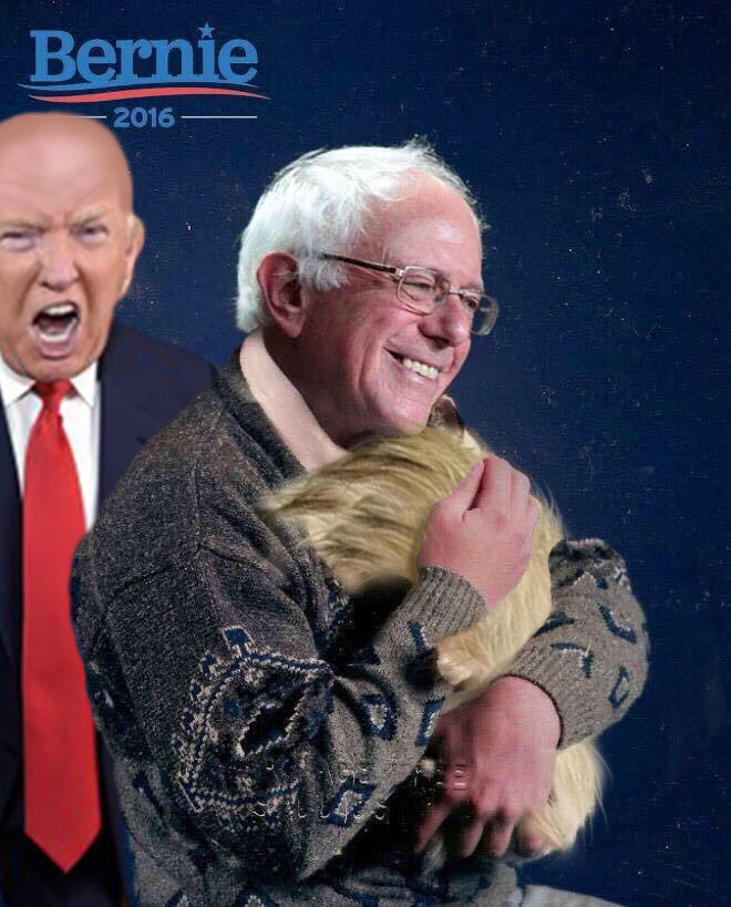 Bernie+holding+cat_ef720d_5804238.jpg