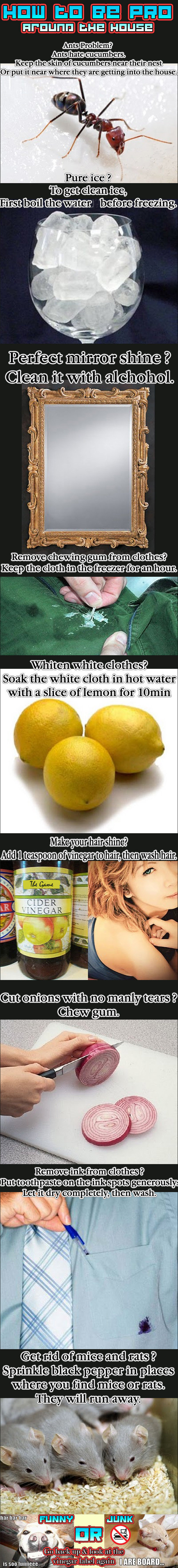 Daily dose of random dank