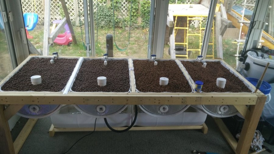 Deadlyfoez+s+indoor+aquaponics+system+so+i+have+been+working+on_51bd99_6061611.jpg