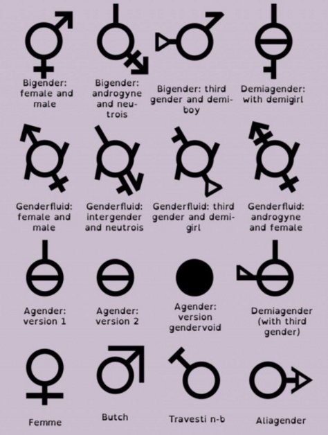 tumblr genders Genders