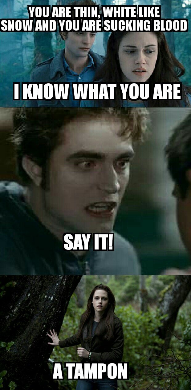 oh twilight, you've could be so much mor