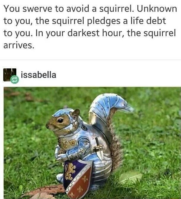 Squirrel+knight_53e700_6037543.jpg