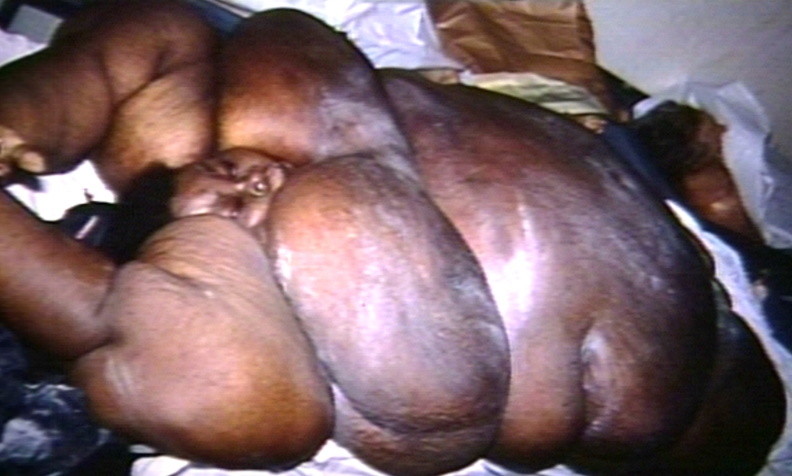 Unsettling_c703e6_5888952.jpg