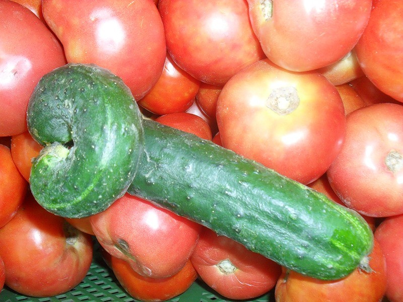 Вибратор В Виде Огурца