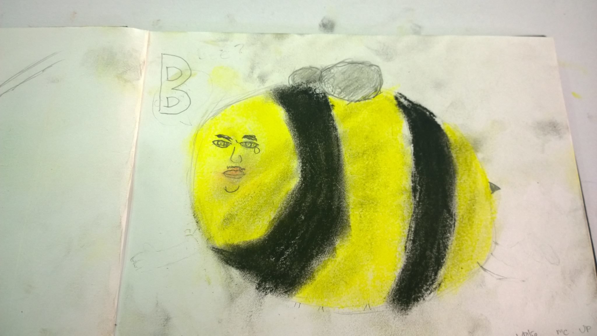 I was asked to draw a realistic bee