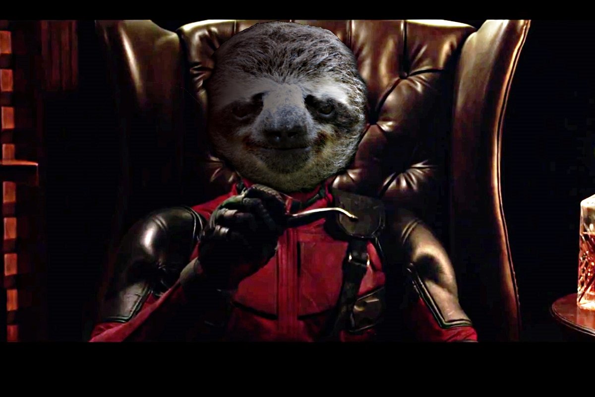 Image result for slothpool