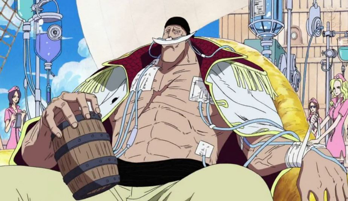 How Many Hours One Piece