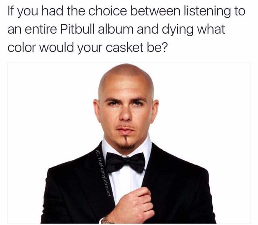 Tony never be. Pitbull album. Pitbull memes. Pitbull meme Singer. Pitbull meme waiter please wait!.