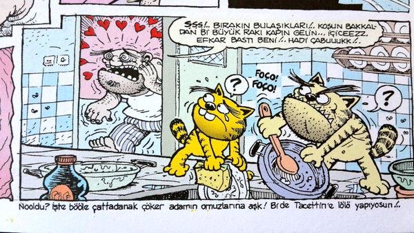 Şerafettin the Bad Cat (Comic Book) - TV Tropes