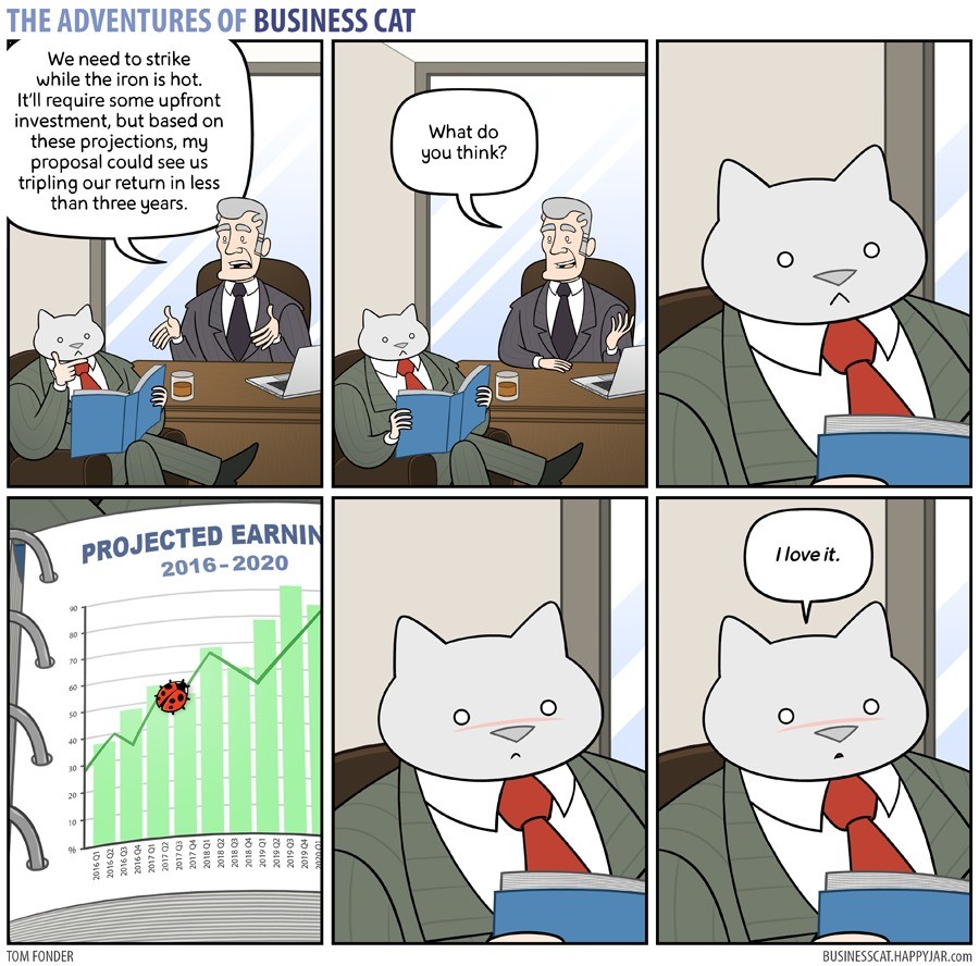 Business Cat Comp