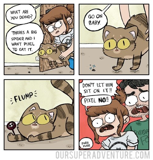 cat butt statue