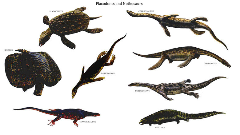 Dinosaurs with Osteoderms