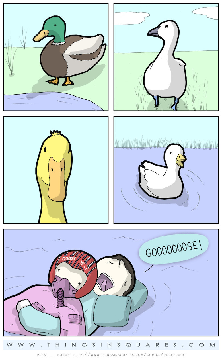 duck