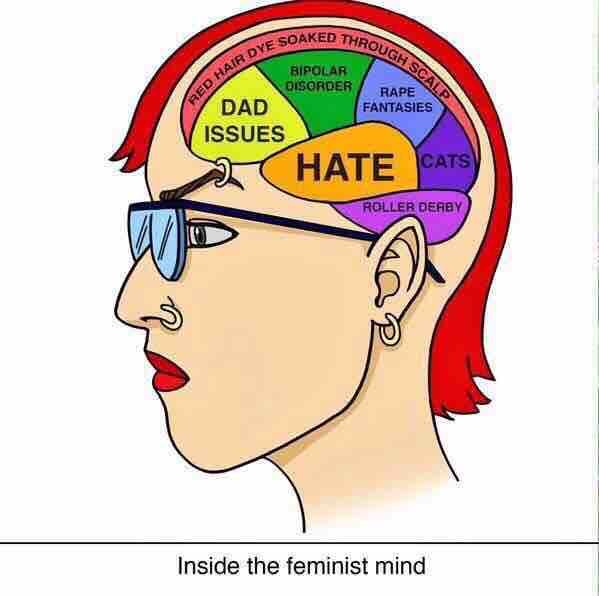 Inside The Mind Of A Femminist