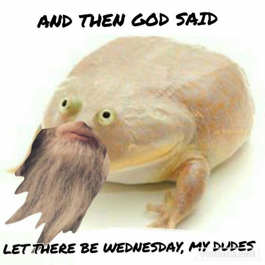 Tomorrow be wednesday. It is Wednesday my dudes. Жаба среда. Жаба Wednesday my dudes. Лягушка Wednesday.