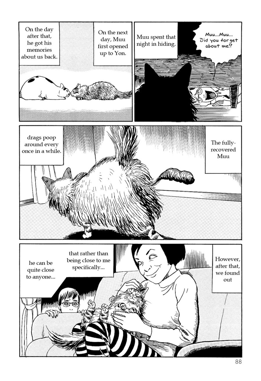Yon Junji Ito Cat Diary