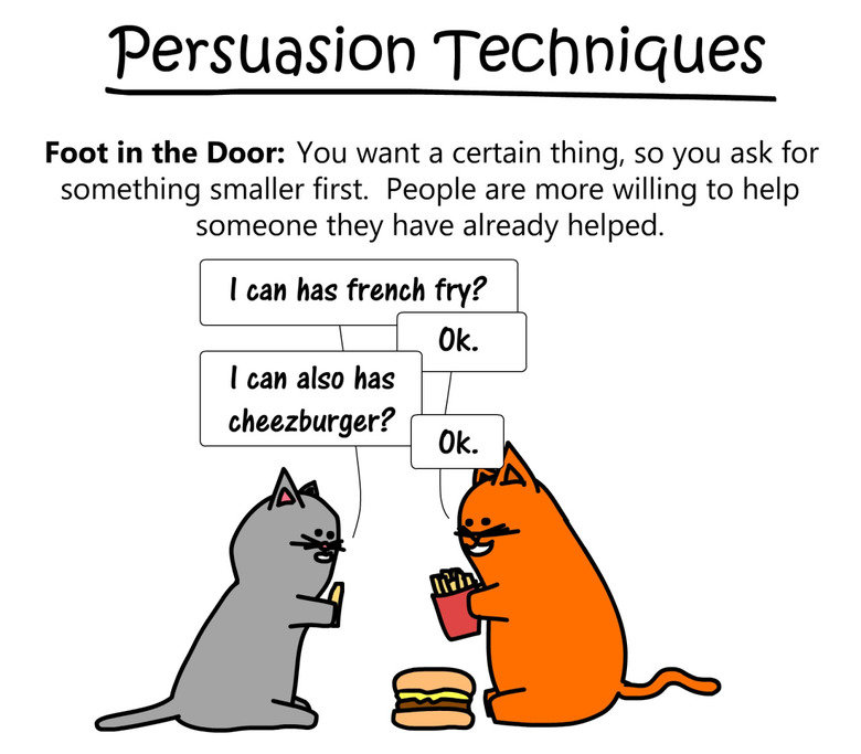 Persuasion Techniques