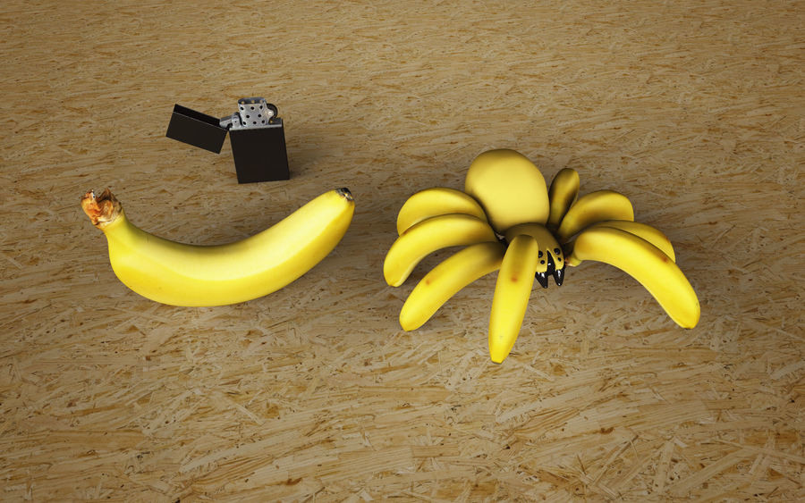 Very+dangerous+banana+spider_3ac825_5949847.jpg