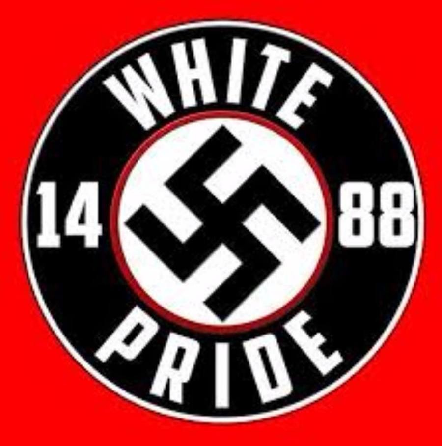 14 слов. David Lane 1488. Адольф Гитлер 1488. White Pride 1488. Свастика White Power.